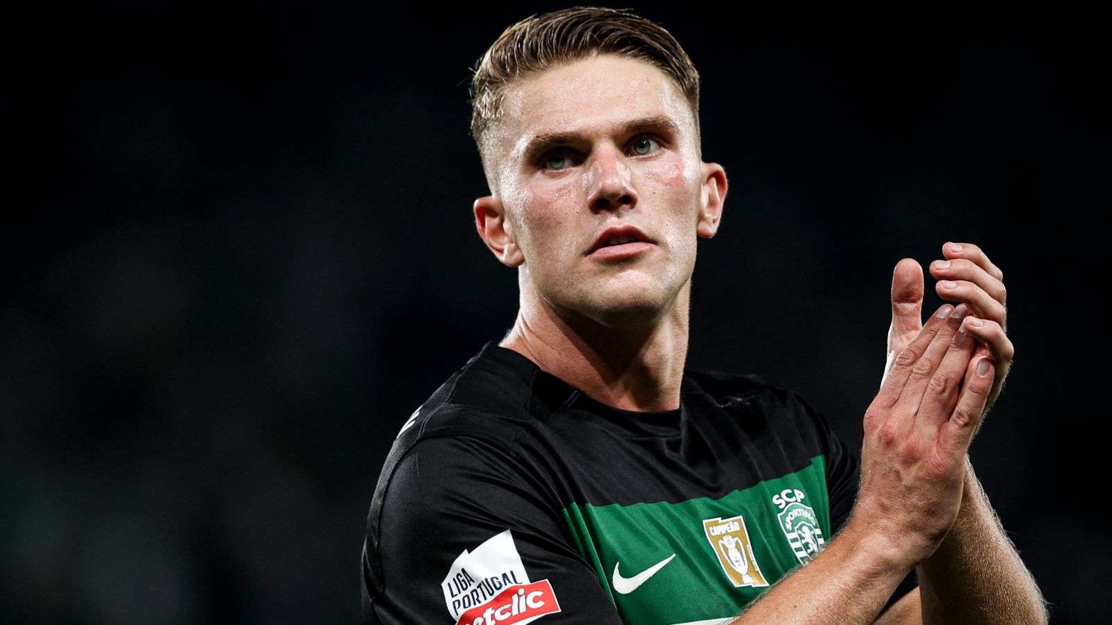 近年来在国 近年来在国